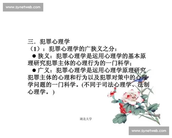 赛后身体与心理全面恢复的科学方法与实用策略