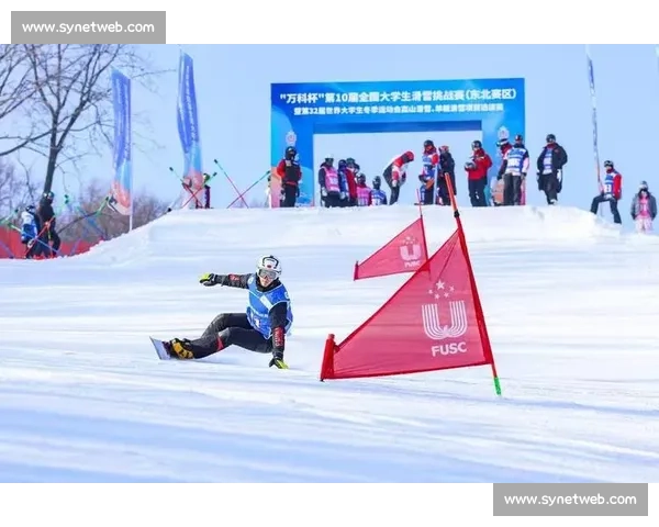 探索滑雪运动的魅力与技巧全面提升冬季运动体验
